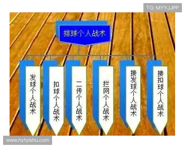 杭州排球队区域防守策略解析与深度剖析排球战术的奥秘